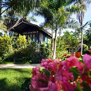 https://resort-sunset-at-the-palms-adults-only.comcaribbean.com
